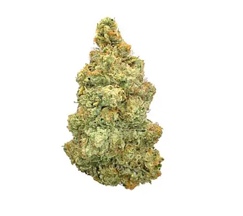 Mac 1 · Exotic (H) cannabis flower