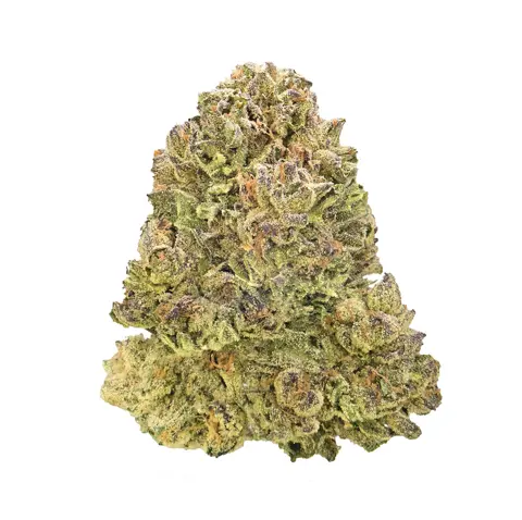 DOLATO · TOP SHELF (I) cannabis flower