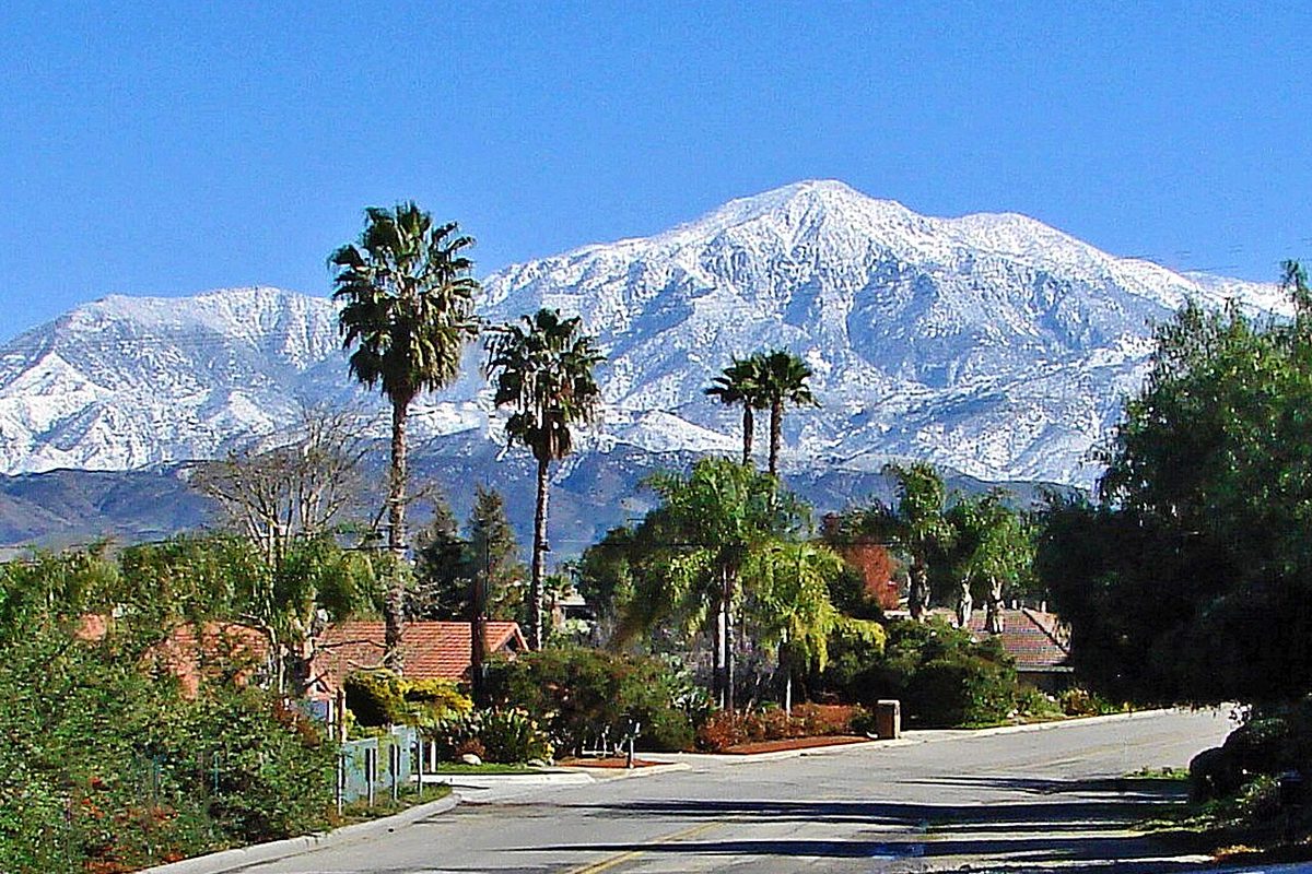 Palm trees and the snow-capped San Bernardino Mountains above a street in Redlands, in California's Inland Empire