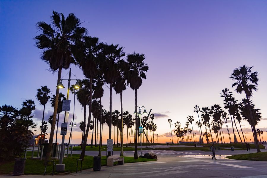 Palm trees along a Southern California street at sunset