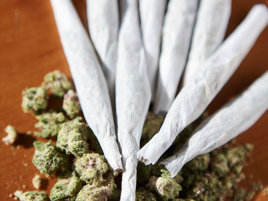 Pre-rolls fanned out over cannabis flower